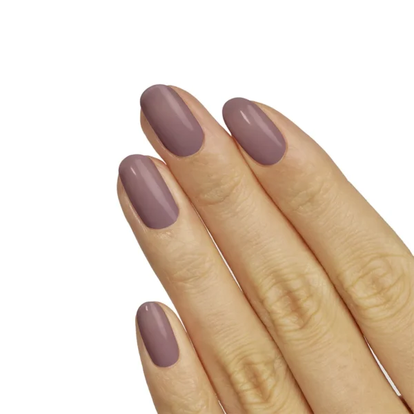 Macaron – Image 3